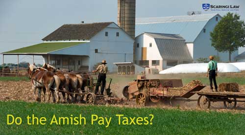 Amish farmers working in a field.