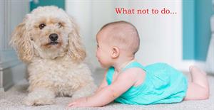 Nervous Dog next to baby. 