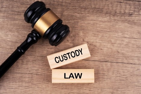 CUSTODY LAW text on wooden blocks with judge gavel.